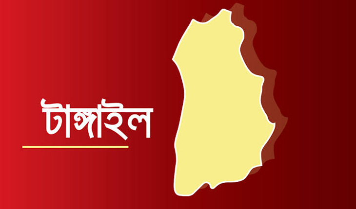 টাঙ্গাইলে ভিমরুলের কামড়ে চিকিৎসাধীন অবস্